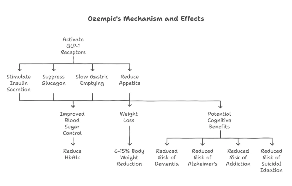 Ozempic mechanism and effects on the body