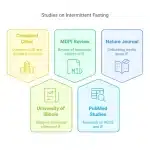 Body fat categories diagram