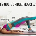 Diagram showing the single-leg glute bridge muscles worked, including the gluteus maximus, hamstrings, core, and erector spinae.