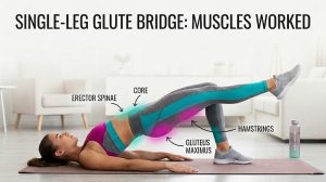 Diagram showing the single-leg glute bridge muscles worked, including the gluteus maximus, hamstrings, core, and erector spinae.