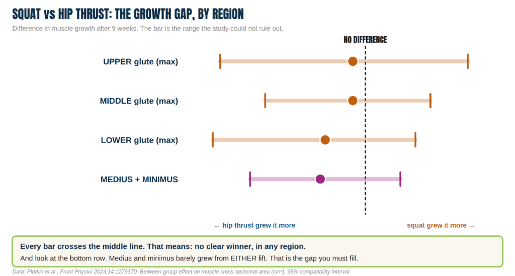 squat vs hip thrust the growth gap by region
